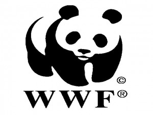 WWF1